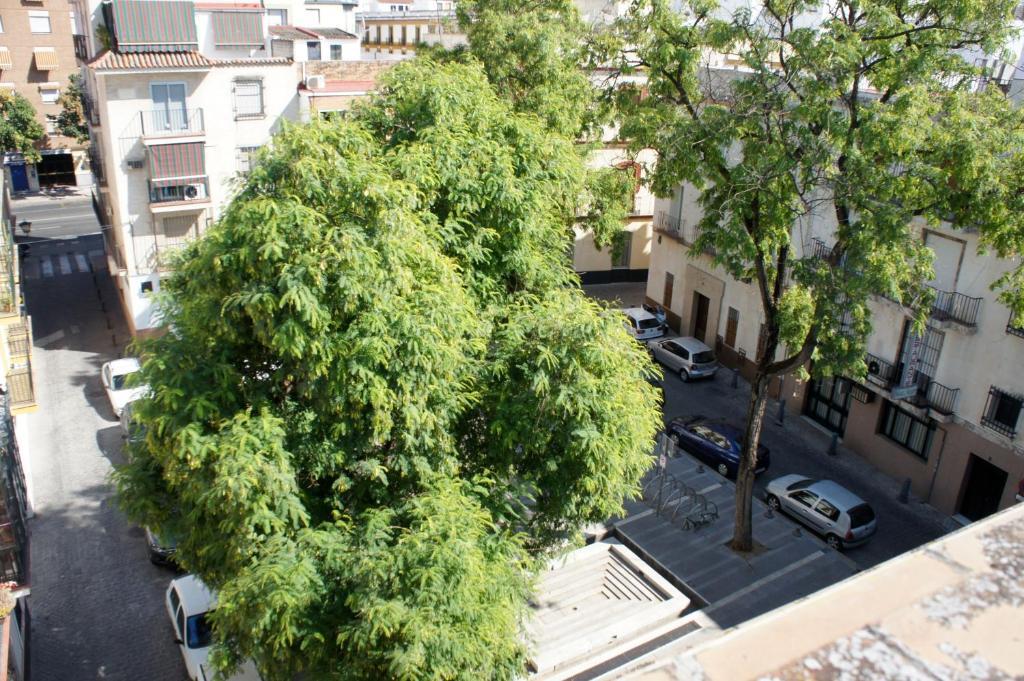 Pension Perez Montilla Sevilha Exterior foto